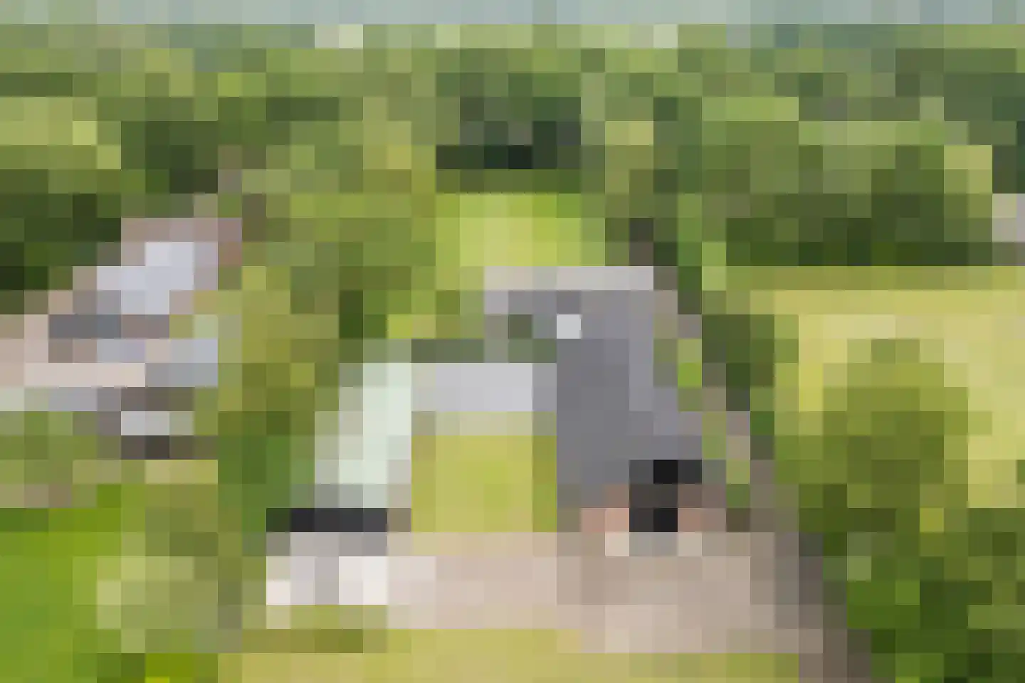 Ruitenveen 24 Nieuwleusen thumbnail 67