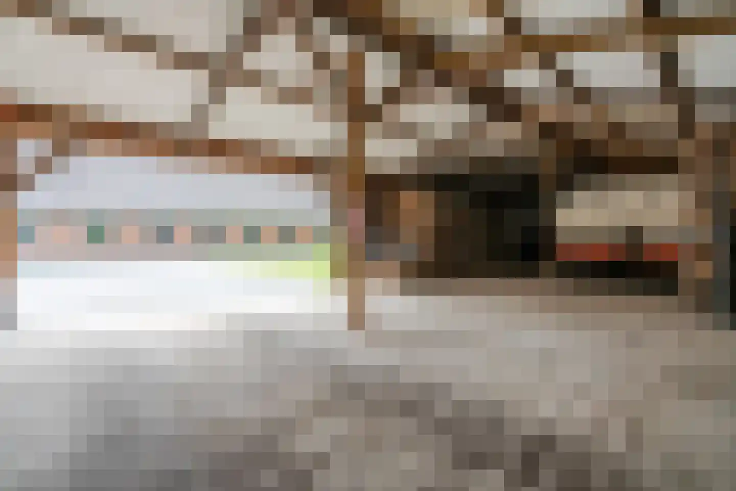Ruitenveen 24 Nieuwleusen thumbnail 71