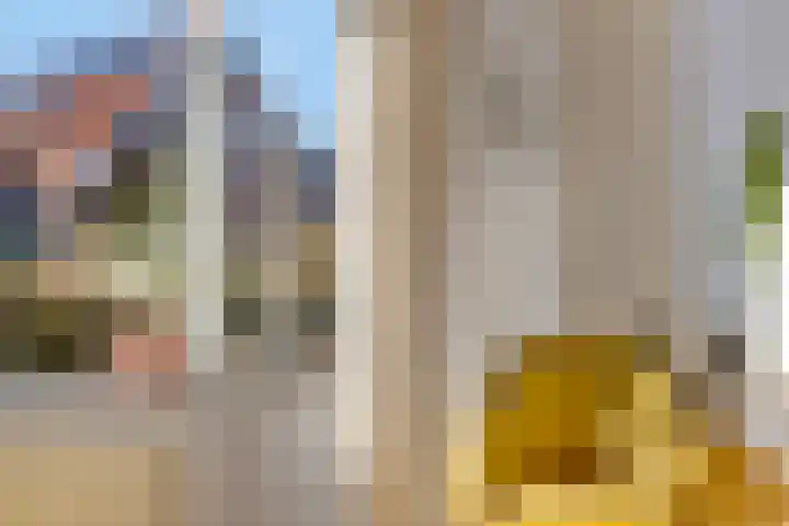 Ruitenweg 25 Froombosch thumbnail 12