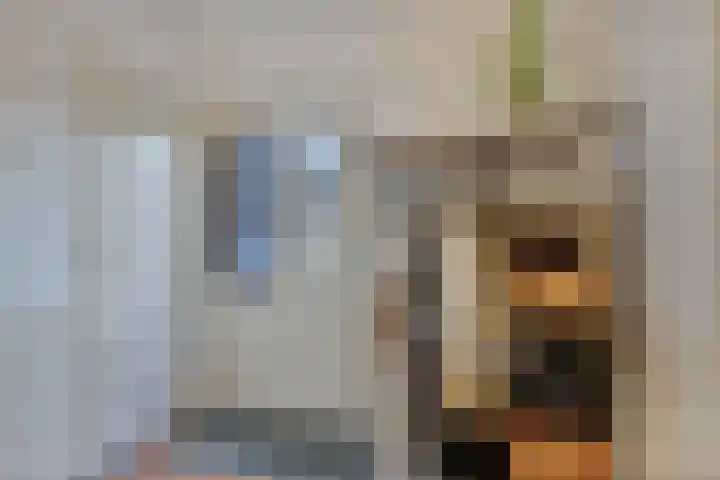 Ruitenweg 25 Froombosch thumbnail 17