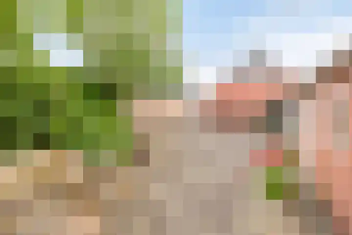 Ruitenweg 25 Froombosch thumbnail 28