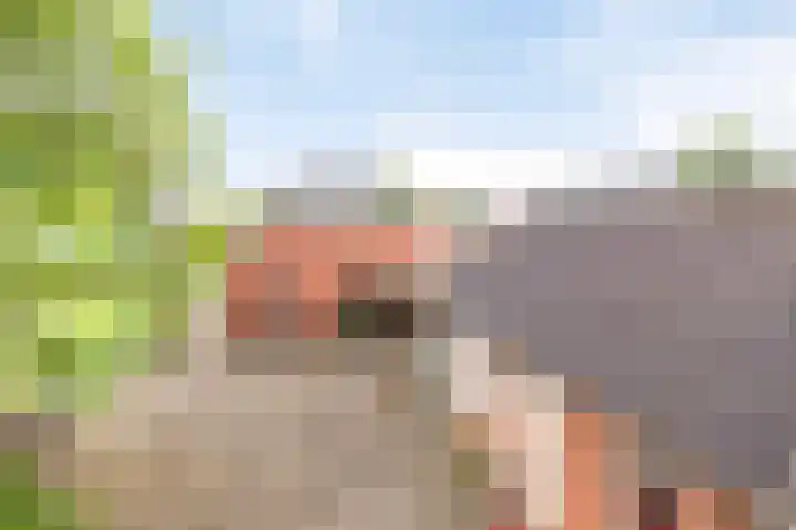 Ruitenweg 25 Froombosch thumbnail 29