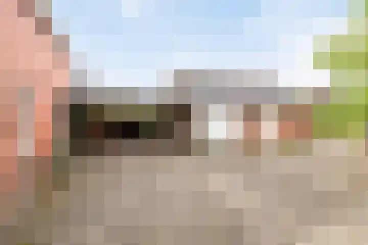 Ruitenweg 25 Froombosch thumbnail 30