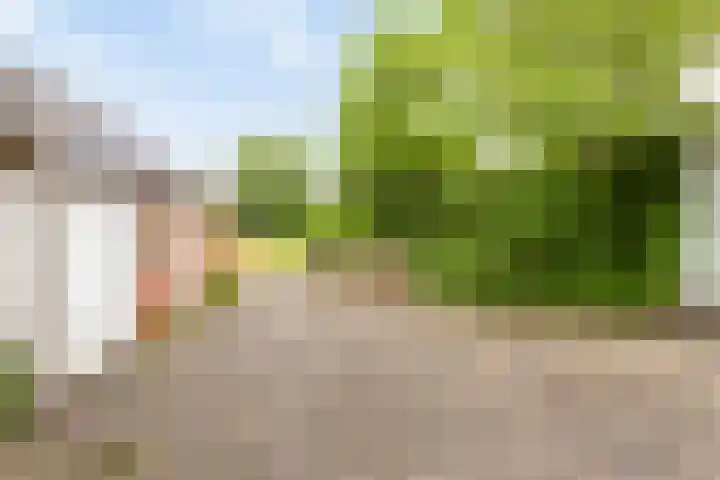 Ruitenweg 25 Froombosch thumbnail 31