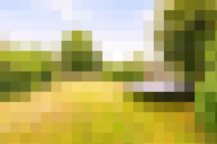 Ruitenweg 25 Froombosch thumbnail 34