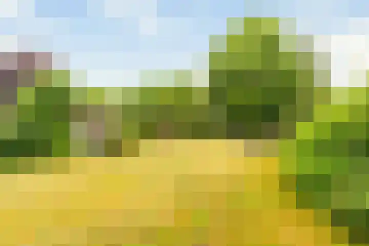 Ruitenweg 25 Froombosch thumbnail 35