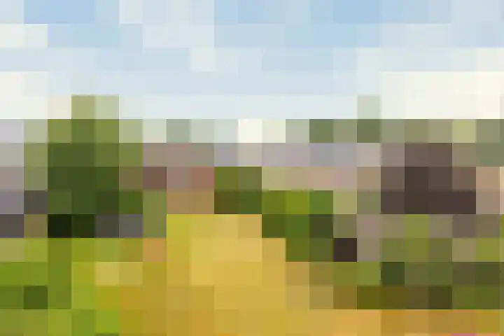 Ruitenweg 25 Froombosch thumbnail 4
