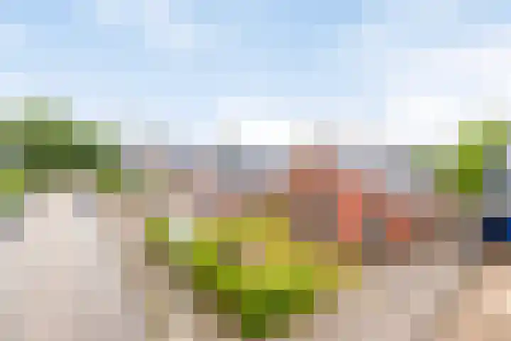 Ruitenweg 25 Froombosch thumbnail 5