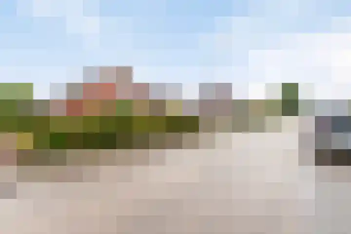 Ruitenweg 25 Froombosch thumbnail 8