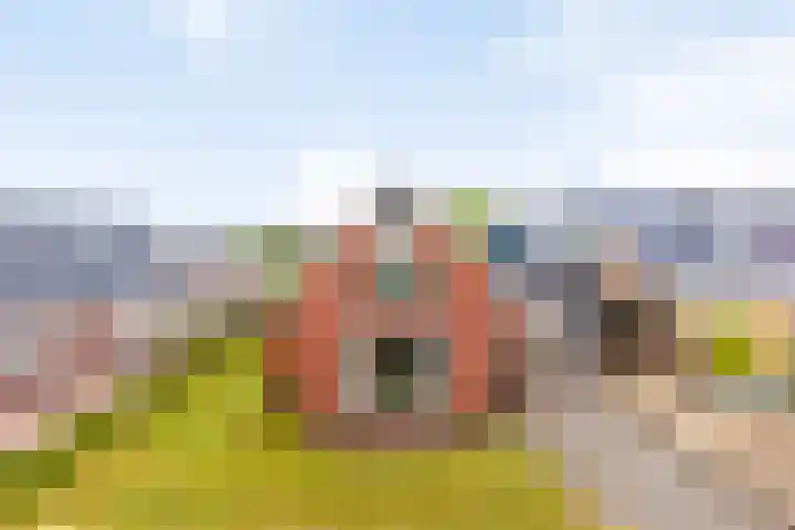 Ruitenweg 25 Froombosch thumbnail 9