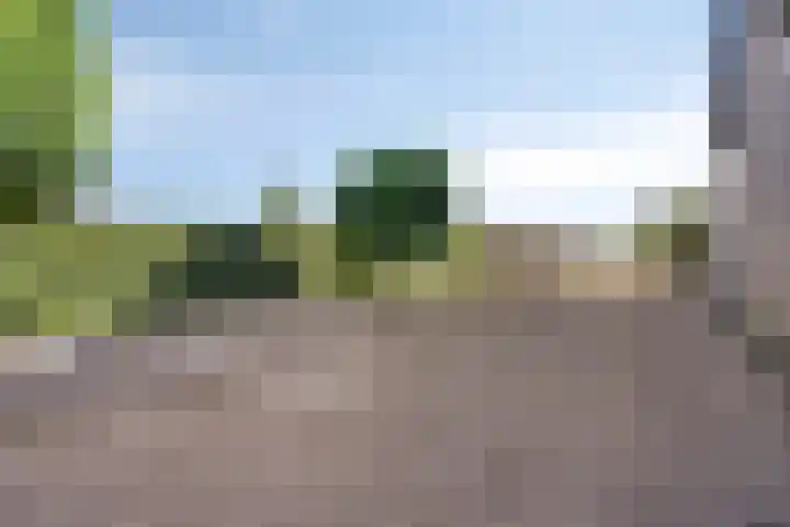 Ruiter 21 Someren thumbnail 13