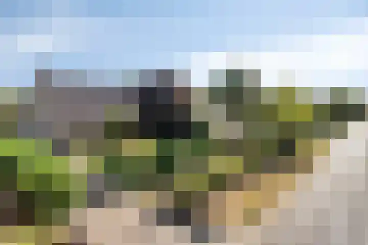 Ruiter 21 Someren thumbnail 14