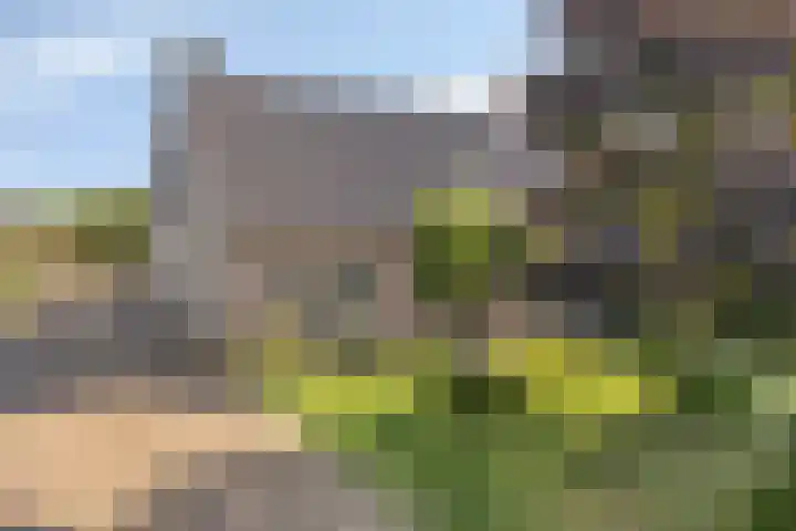 Ruiter 21 Someren thumbnail 16