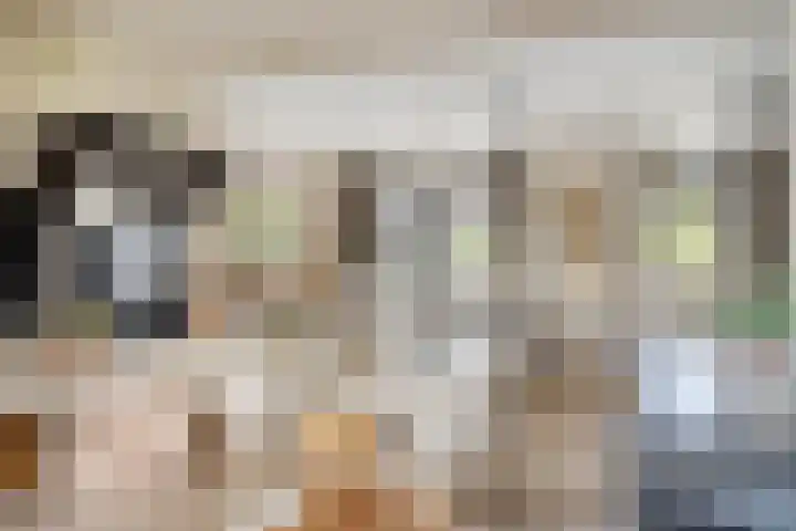 Ruiter 21 Someren foto 2