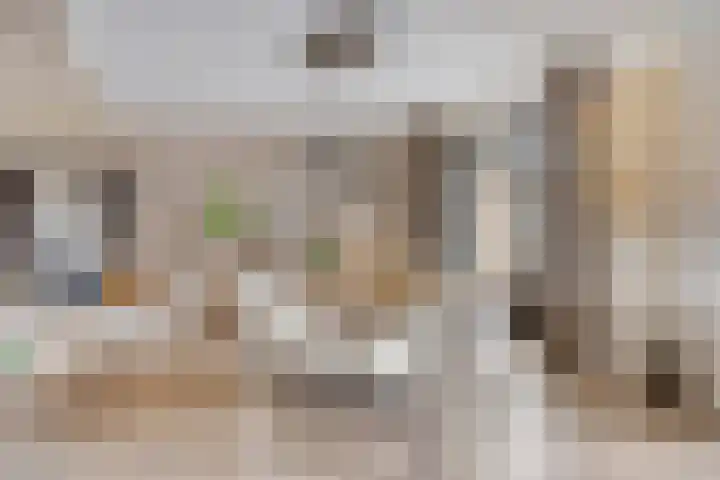 Ruiter 21 Someren thumbnail 24