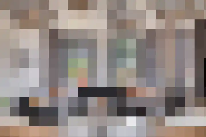 Ruiter 21 Someren thumbnail 25