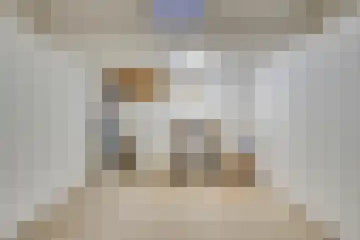 Ruiter 21 Someren thumbnail 34