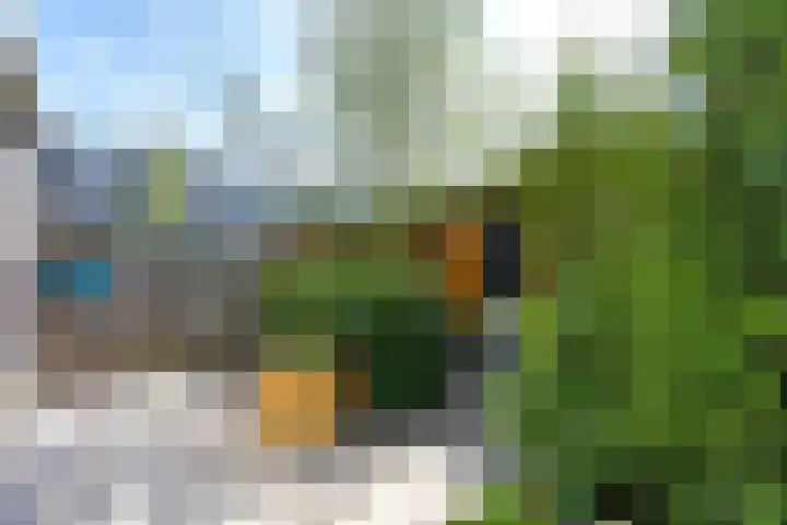 Ruiter 21 Someren thumbnail 37
