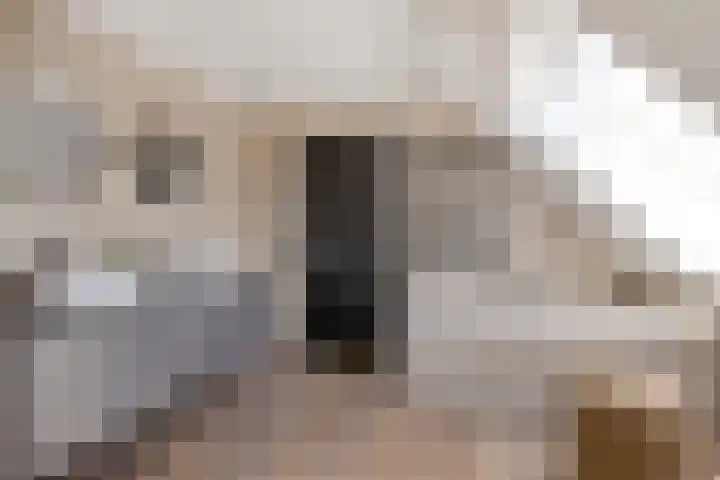 Ruiter 21 Someren thumbnail 41