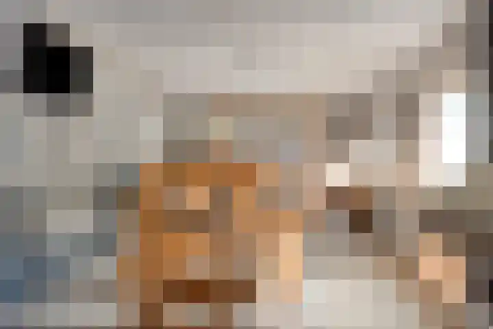 Ruiter 21 Someren thumbnail 47