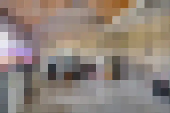 Ruiter 21 Someren thumbnail 48