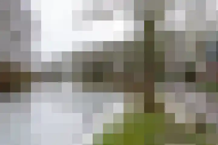 Ruiter 21 Someren thumbnail 49
