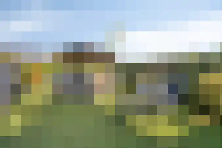 Ruiter 21 Someren thumbnail 57