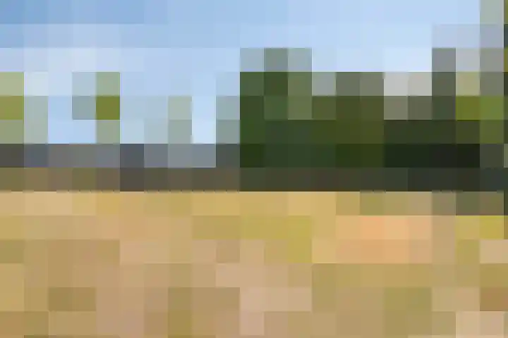 Ruiter 21 Someren thumbnail 59