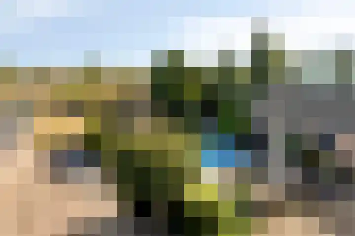 Ruiter 21 Someren thumbnail 62