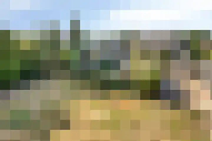 Ruiter 21 Someren thumbnail 64