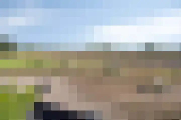 Ruiter 21 Someren thumbnail 66