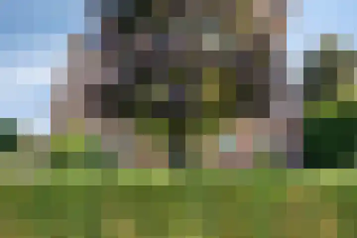 Ruiter 21 Someren thumbnail 9