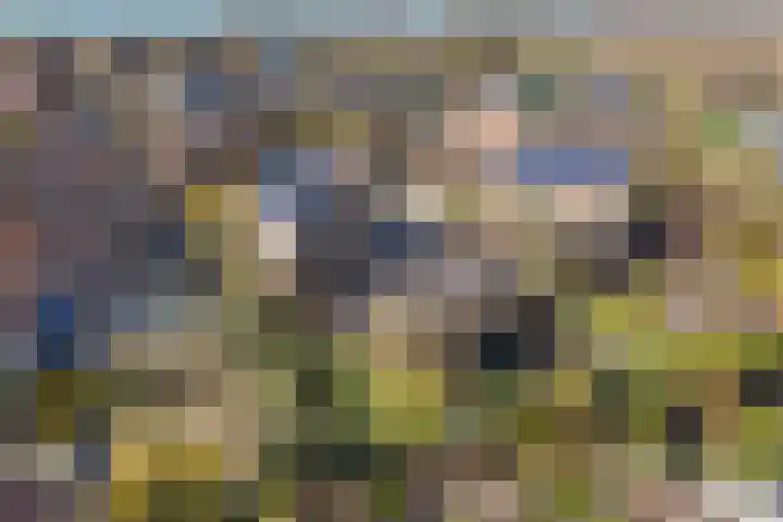 Ruiter 3 Enkhuizen thumbnail 10