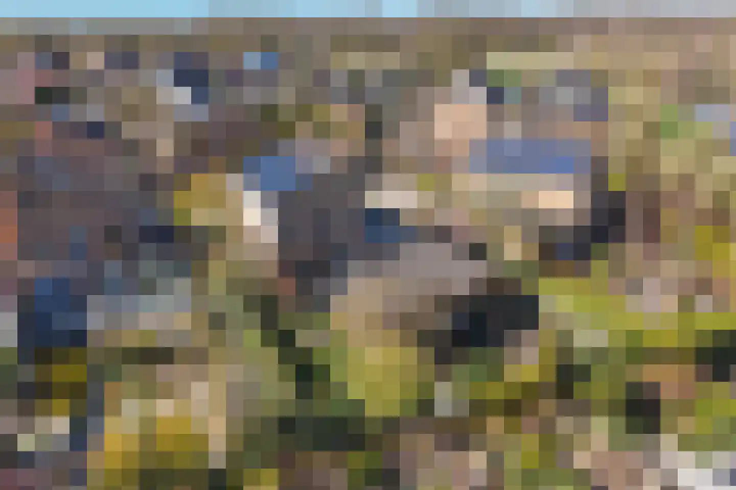 Ruiter 3 Enkhuizen thumbnail 10
