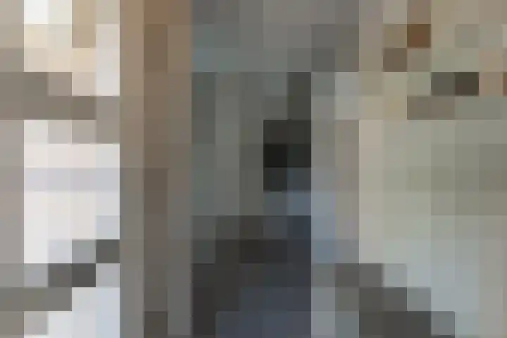 Ruiter 3 Enkhuizen thumbnail 13