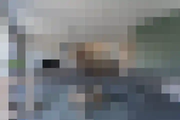 Ruiter 3 Enkhuizen thumbnail 15