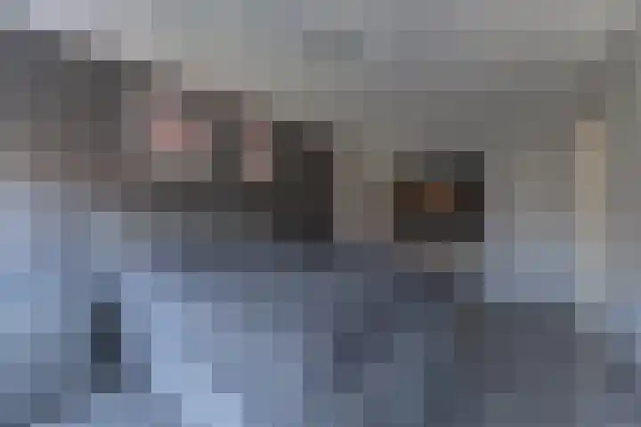 Ruiter 3 Enkhuizen thumbnail 29