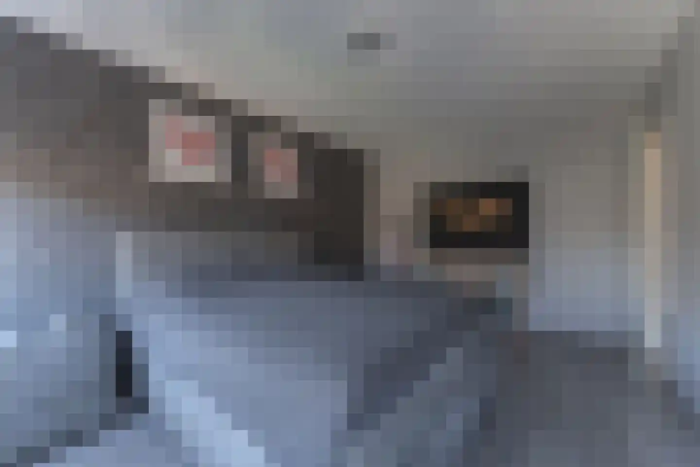 Ruiter 3 Enkhuizen thumbnail 29