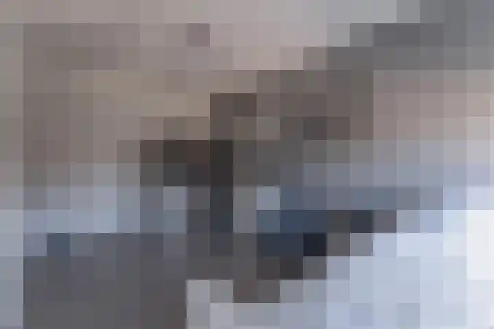 Ruiter 3 Enkhuizen thumbnail 34