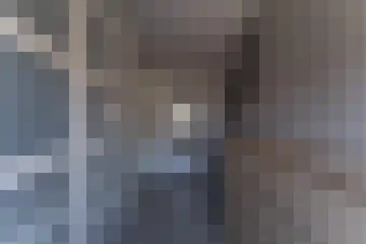 Ruiter 3 Enkhuizen thumbnail 36