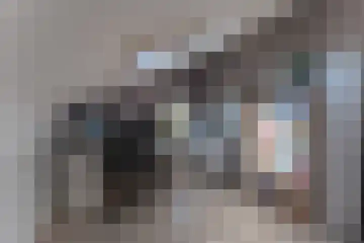 Ruiter 3 Enkhuizen thumbnail 38