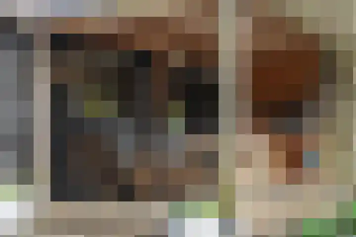 Ruiter 3 Enkhuizen thumbnail 4