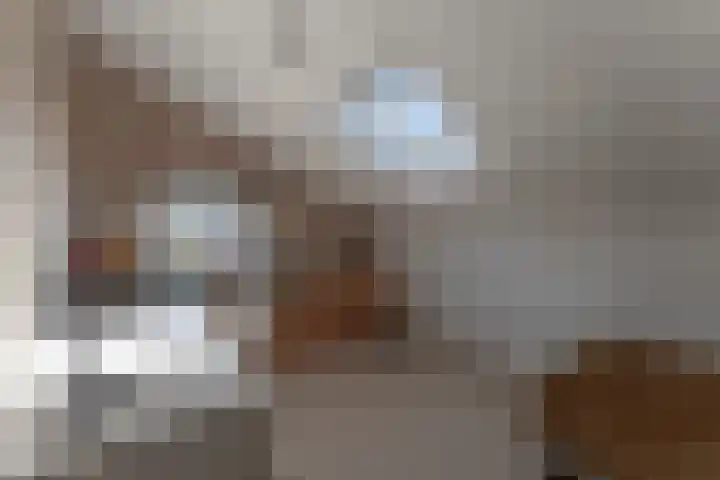 Ruiter 3 Enkhuizen thumbnail 42