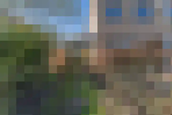 Ruiter 3 Enkhuizen thumbnail 47