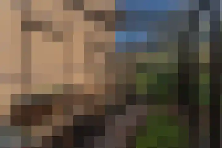 Ruiter 3 Enkhuizen thumbnail 48