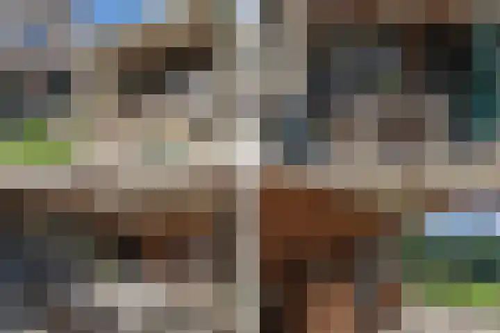 Ruiter 3 Enkhuizen thumbnail 49