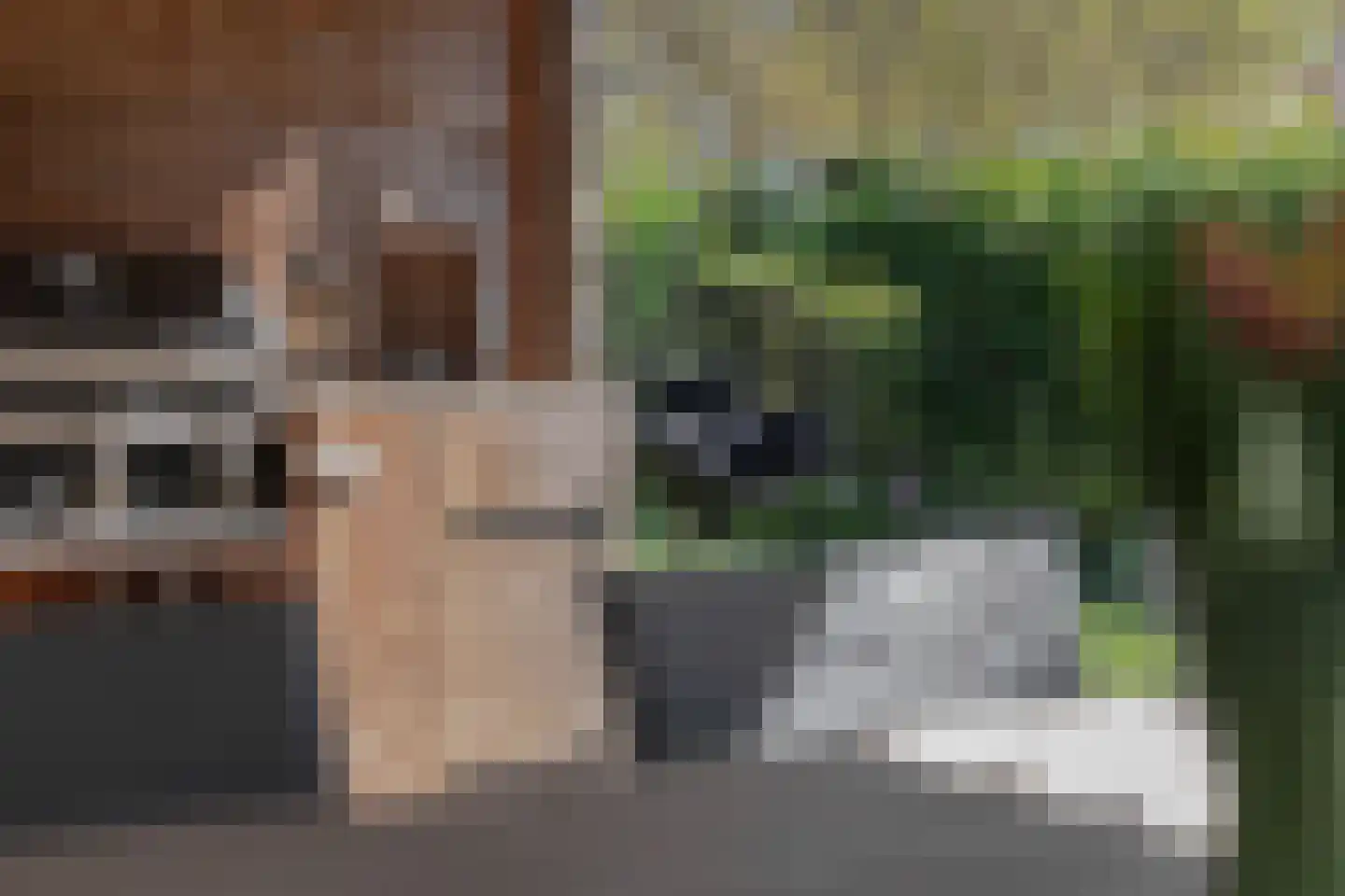 Ruiter 3 Enkhuizen thumbnail 50