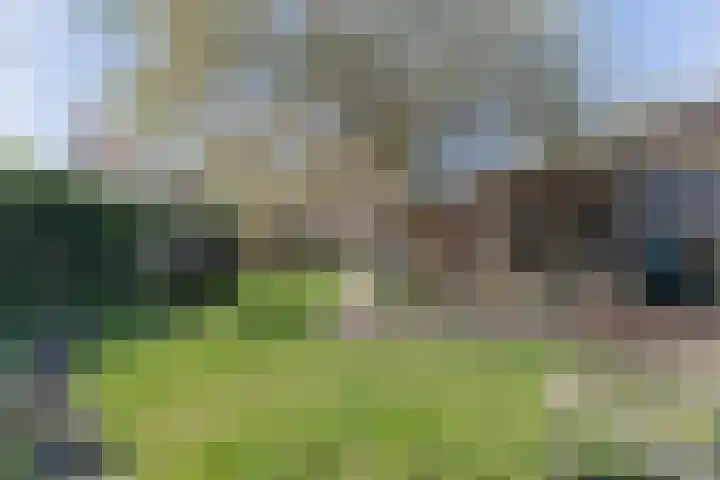 Ruiter 3 Enkhuizen thumbnail 6