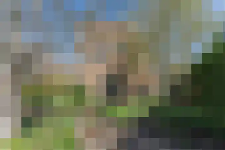 Ruiter 3 Enkhuizen thumbnail 61