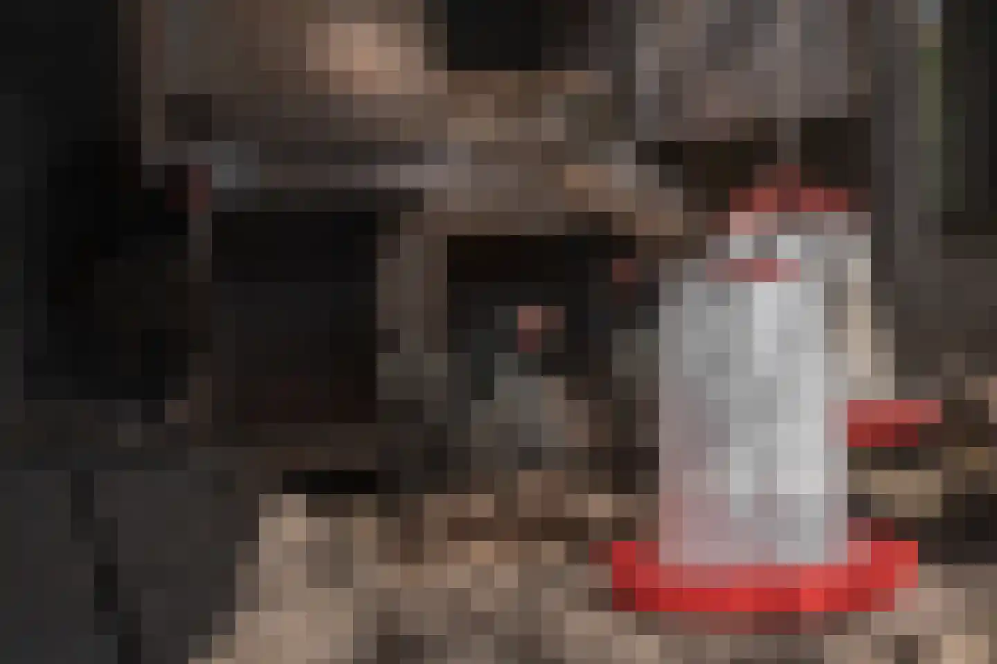 Ruiter 3 Enkhuizen thumbnail 7
